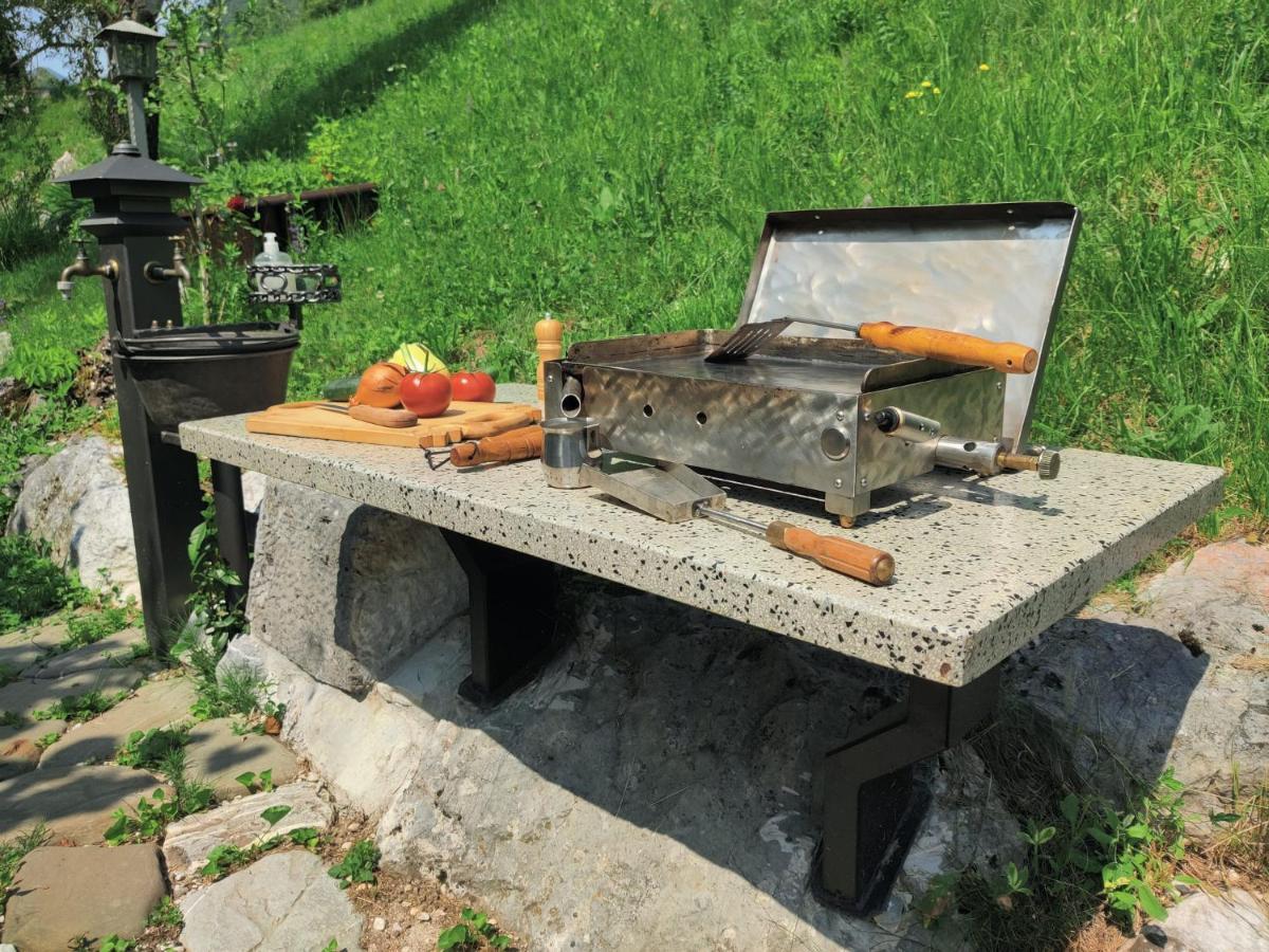 Apartma Dobra Misel Apartment